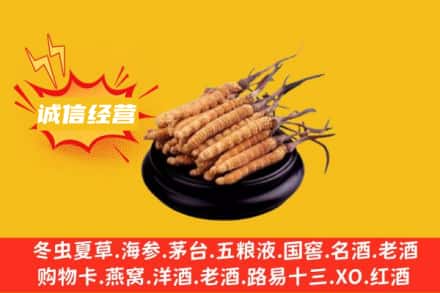 楚雄州禄丰回收冬虫夏草